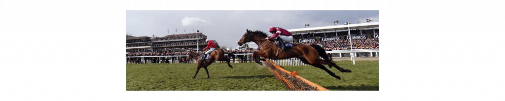 Cheltenham Races