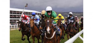 Cheltenham Races