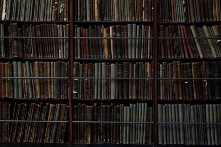 The Times And Sunday Times Cheltenham Literature Festival Announces Womens Fiction Prize Winner As This Years Big Read Title
