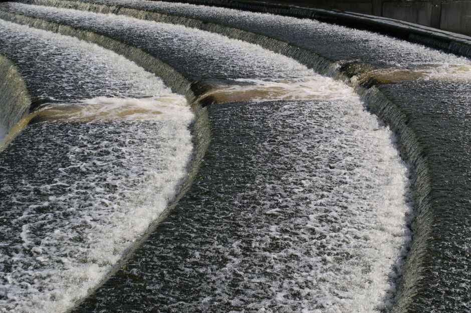 'Cotswolds rivers have been pumped full of filthy sewage - the PM must act'