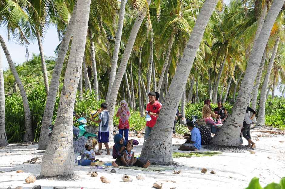 New site for The Coconut Tree as group expands
