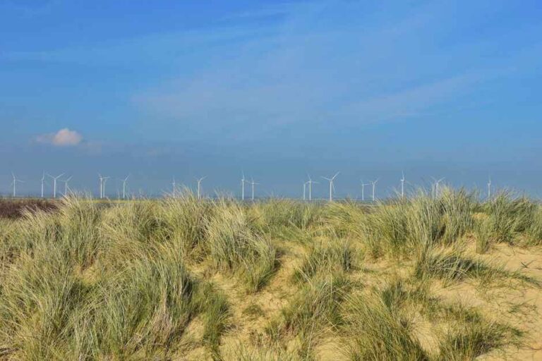 Renewable energy firm's projects deliver almost £1.5m in annual savings