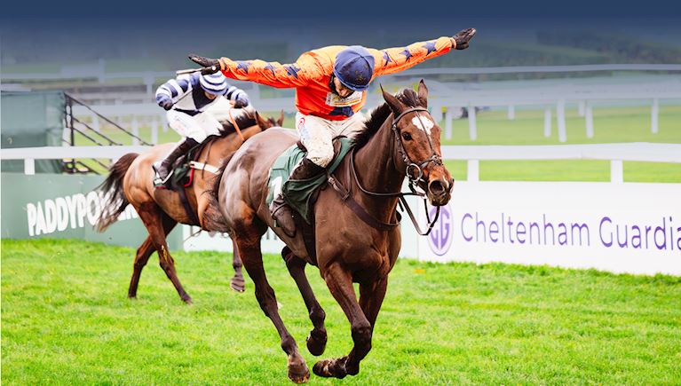 Cheltenham Racecourse Race Meetings & Results 2026/27 | Cheltenham Times